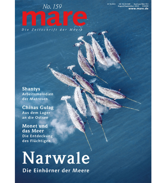 Cover mare 159