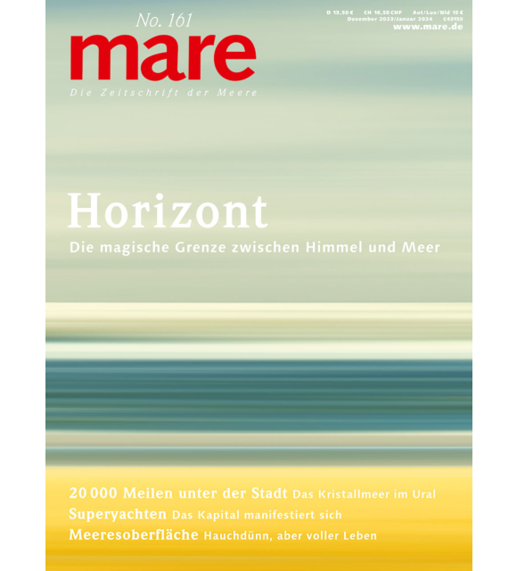 Cover mare 161