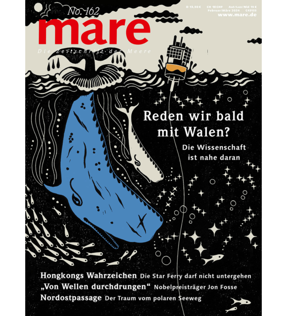 Cover mare 162