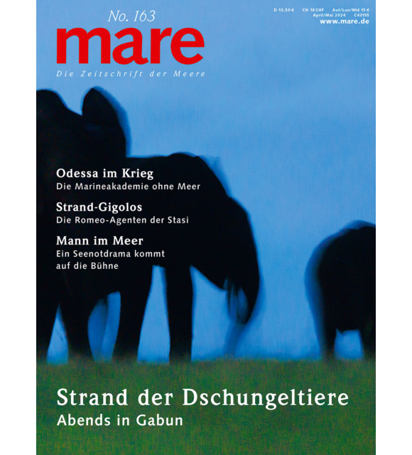 Cover mare 163