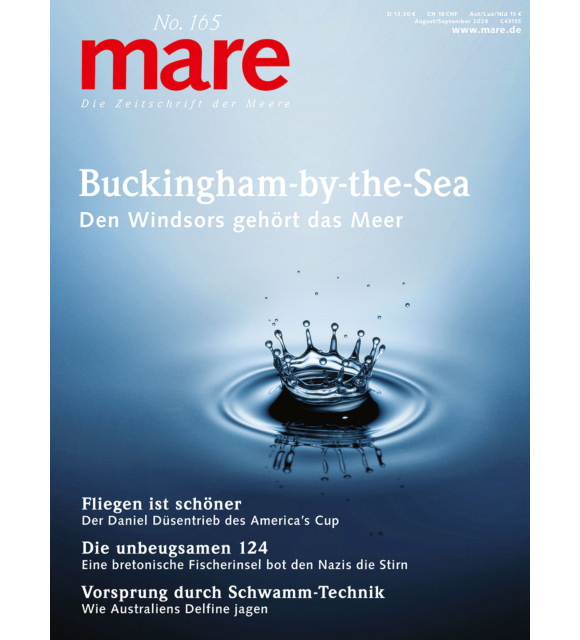 Cover mare 165