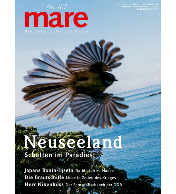 Cover mare 167