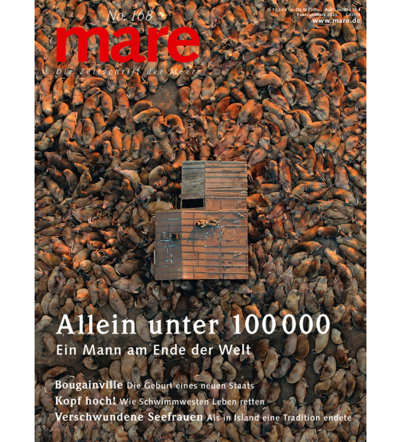 Cover mare 168