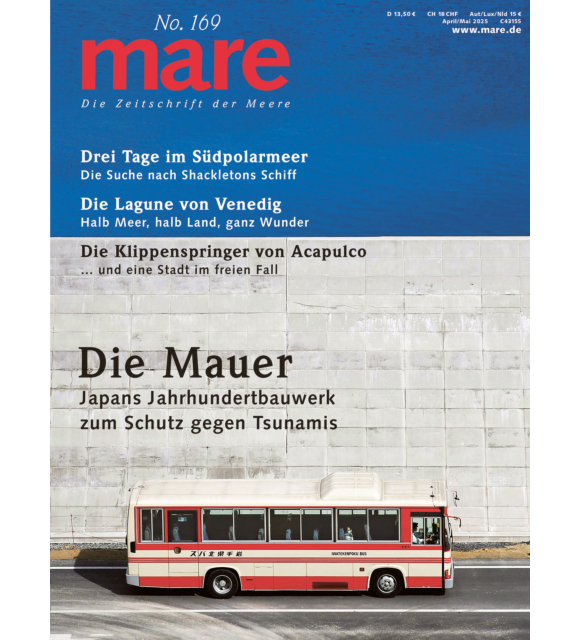 Cover mare 169