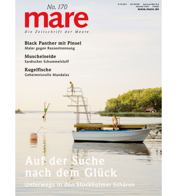 Cover mare 170