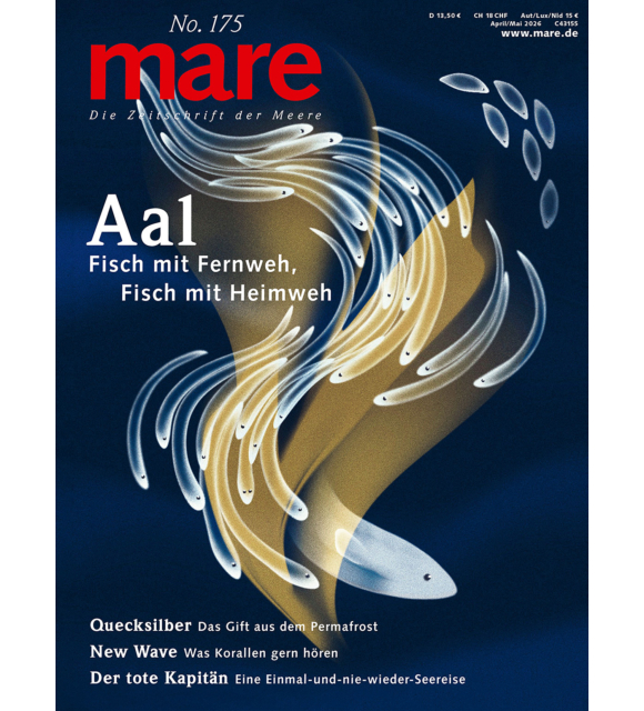 mare No. 175