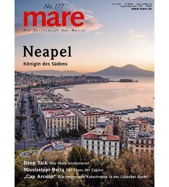mare No. 177
