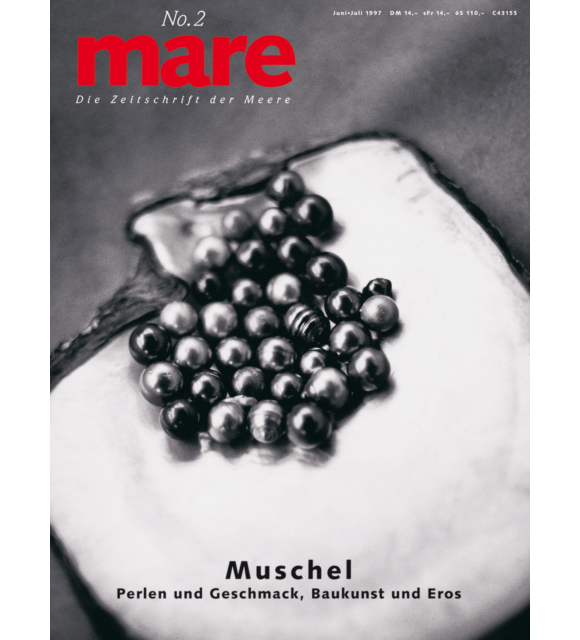 Cover mare 2