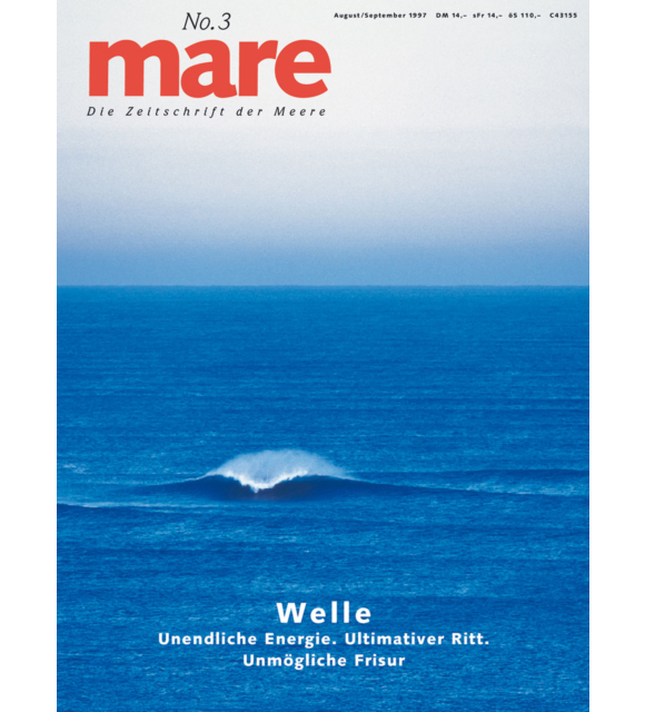 Cover mare 3