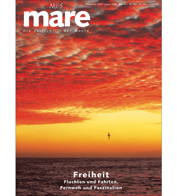 Cover mare 5