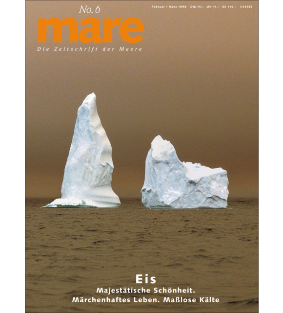 Cover mare 6