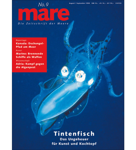 Cover mare 9
