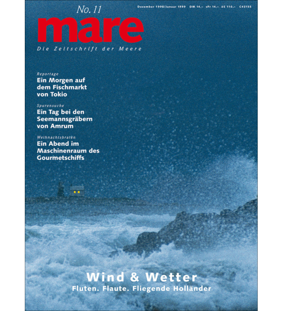 Cover mare 11