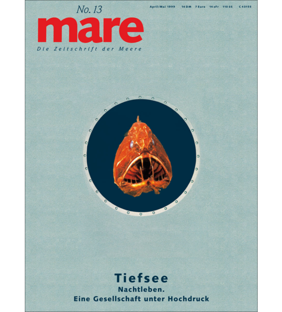 Cover mare 13