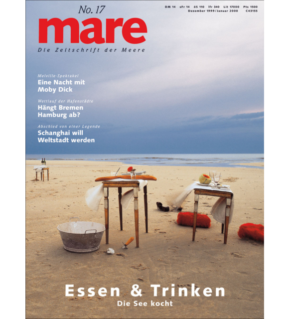Cover mare 17