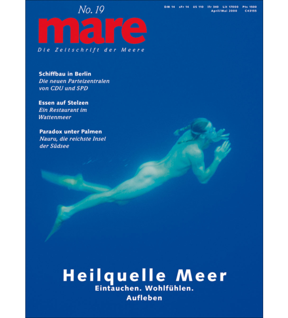 Cover mare 19