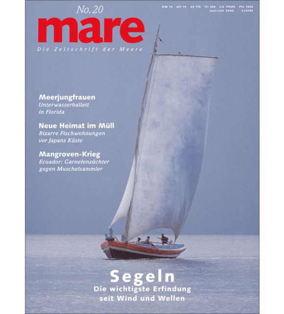 Cover mare 20