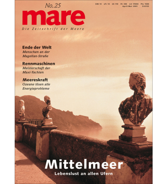 Cover mare 25