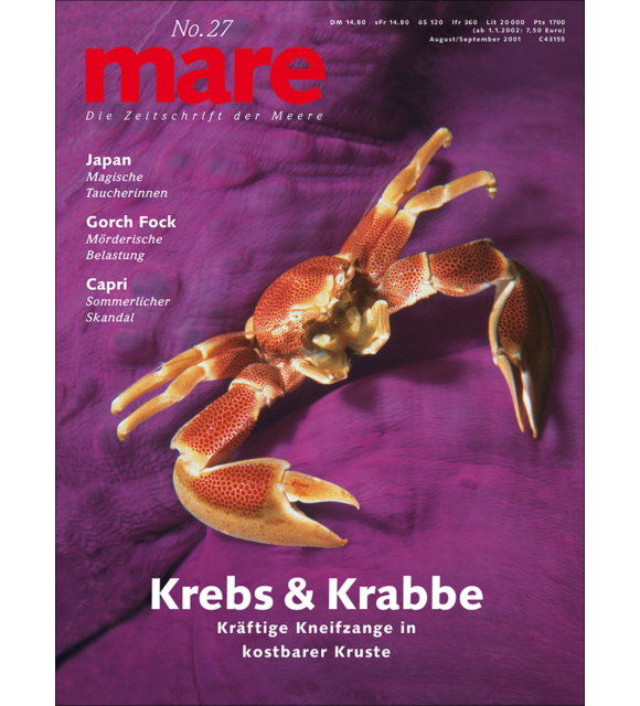 Cover mare 27