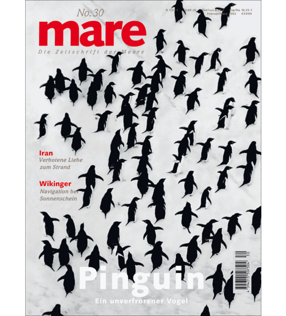 Cover mare 30