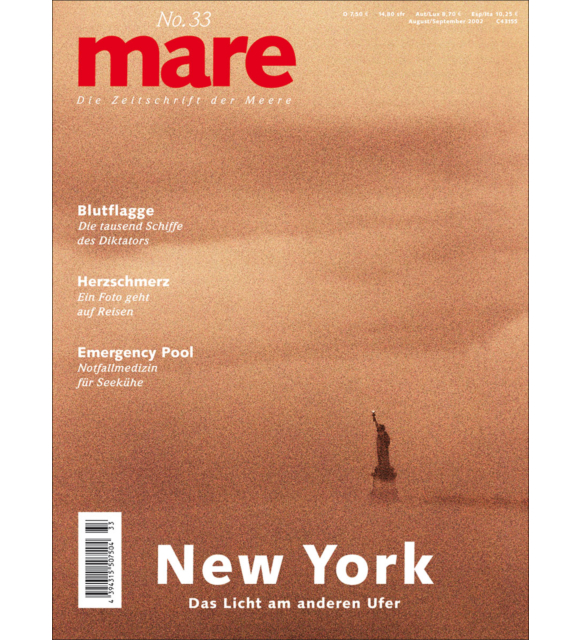 Cover mare 33