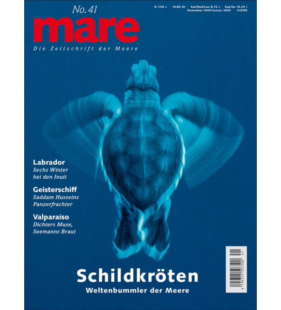 Cover mare 41