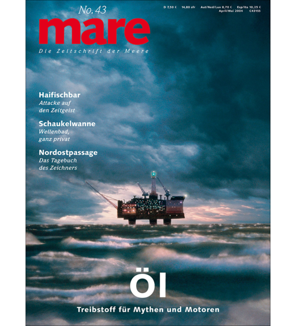 Cover mare 41