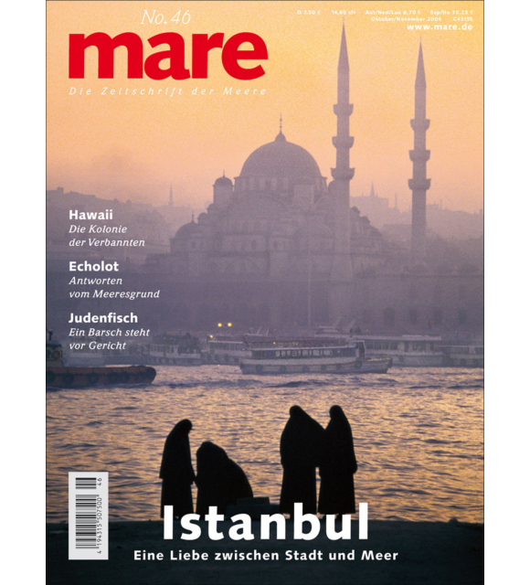 Cover mare 46