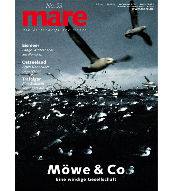 Cover mare 53