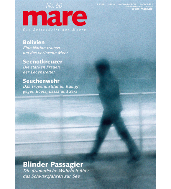 Cover mare 60