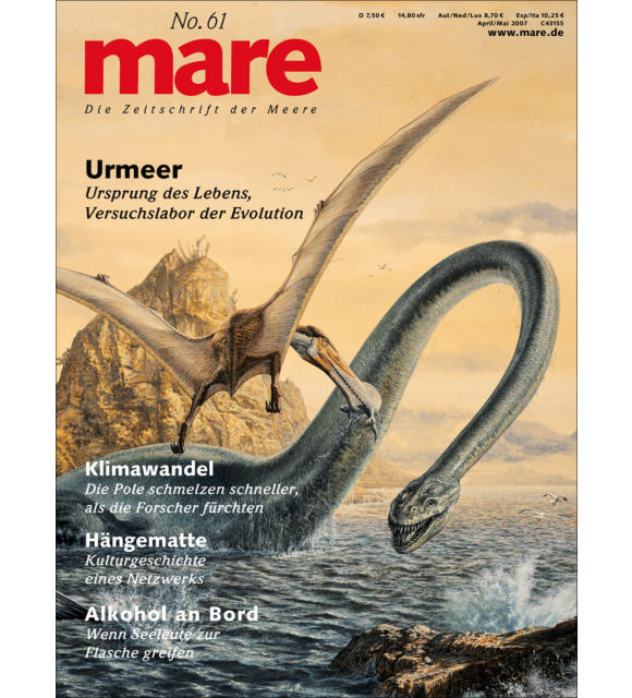 Cover mare 61