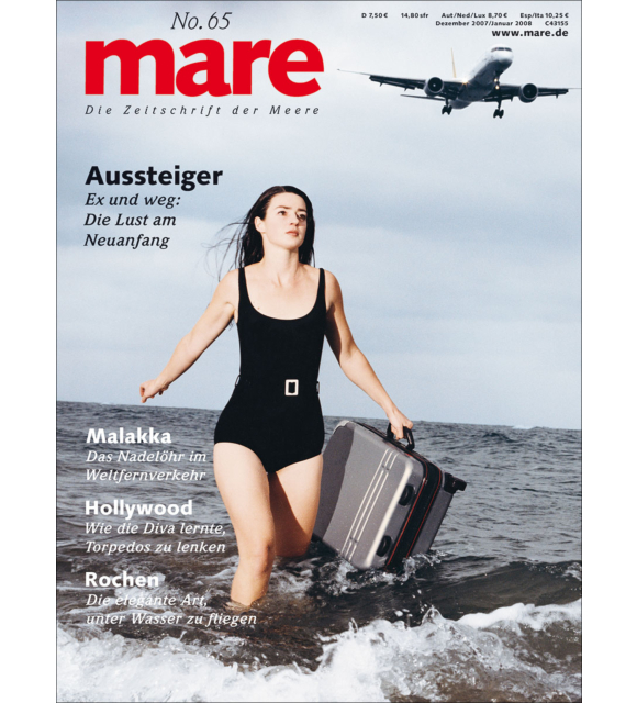 Cover mare 65
