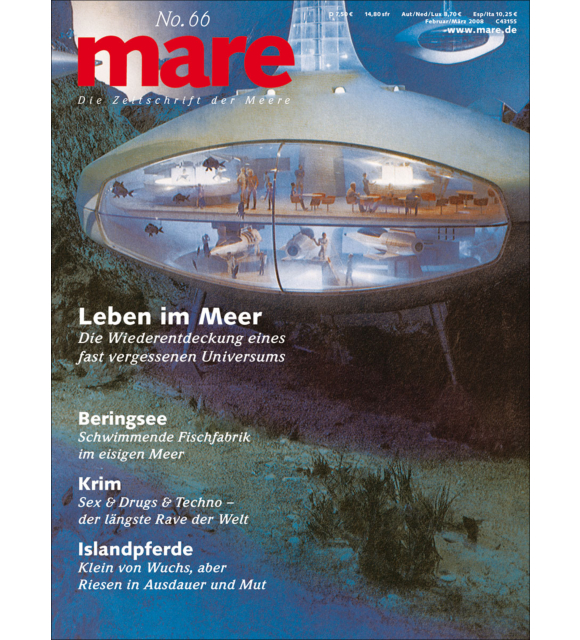 Cover mare 66