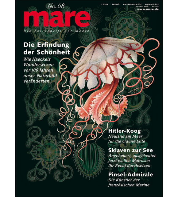 Cover mare 38