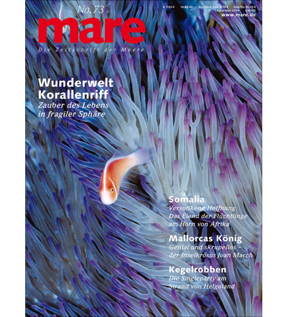 Cover mare 73