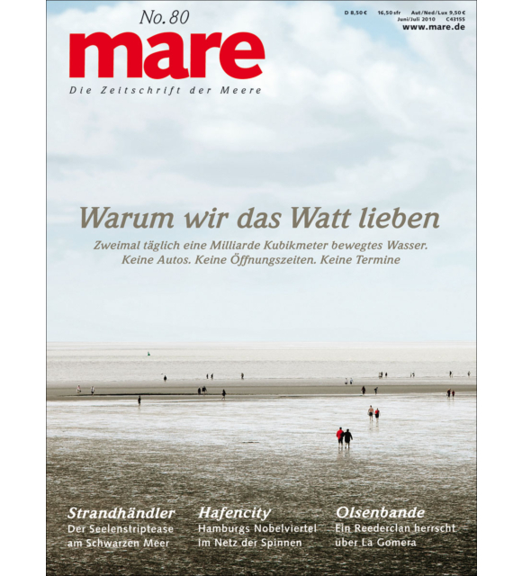 Cover mare 80