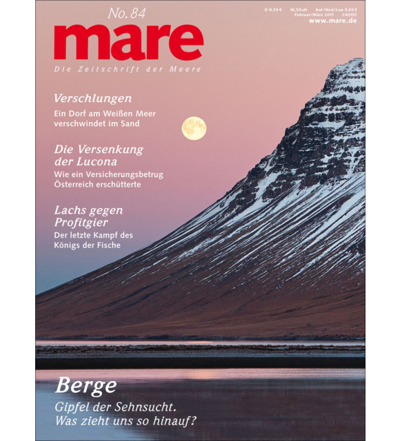 Cover mare 84