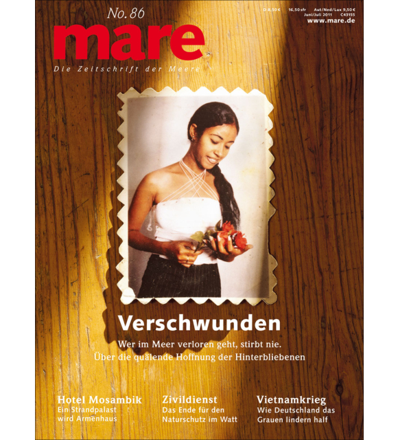 Cover mare 86