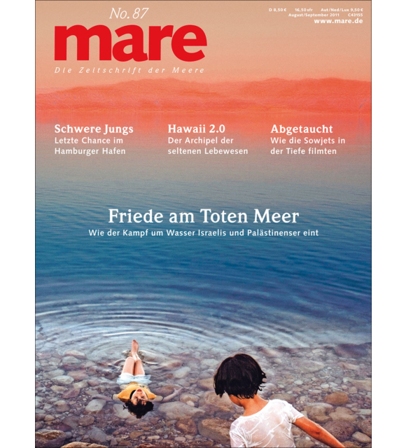 Cover mare 87