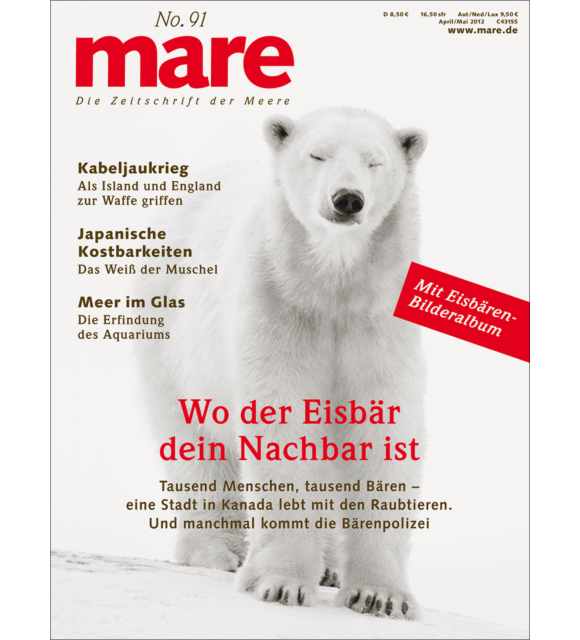 Cover mare 91
