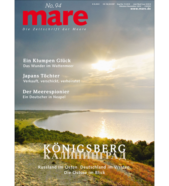 Cover mare 94