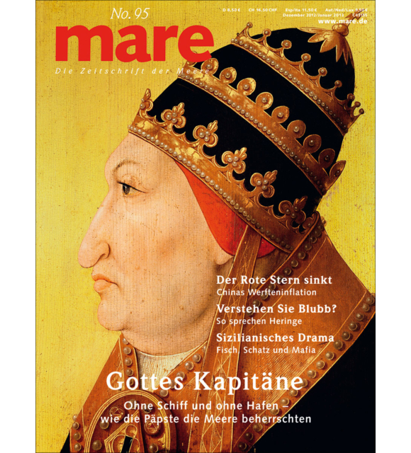 Cover mare 95