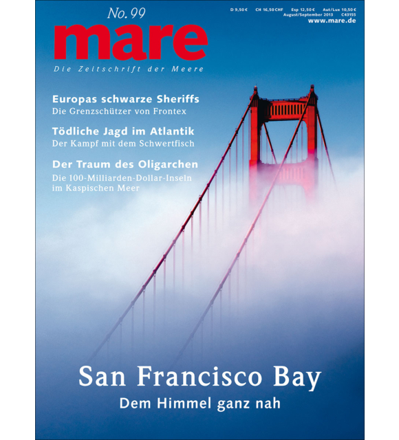 Cover mare 99