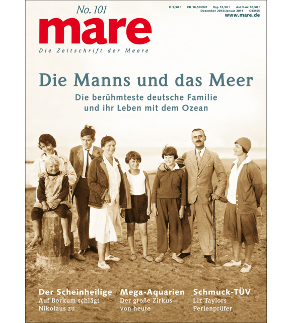 Cover mare 101