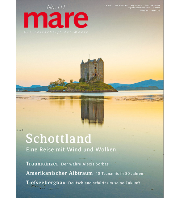 Cover mare 111
