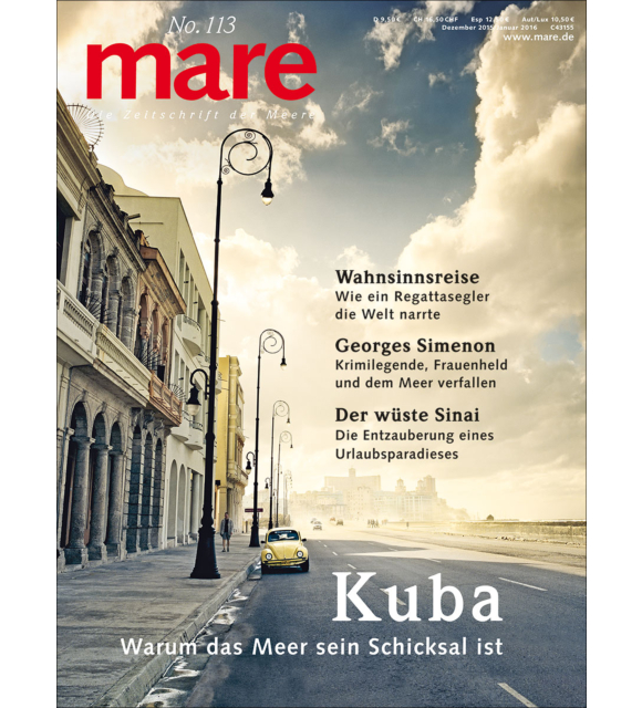 Cover mare 113