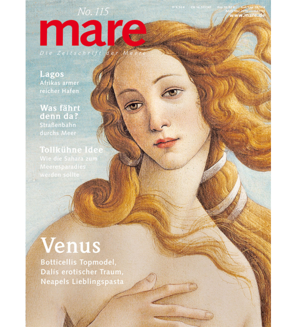 Cover mare 115