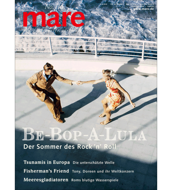 Cover mare 116
