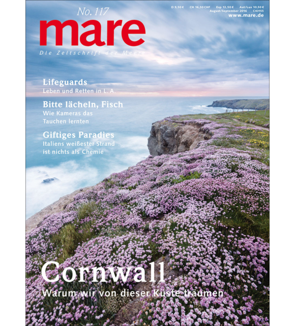 Cover mare 117
