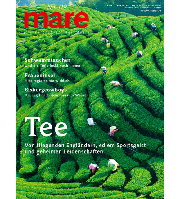Cover mare 119

